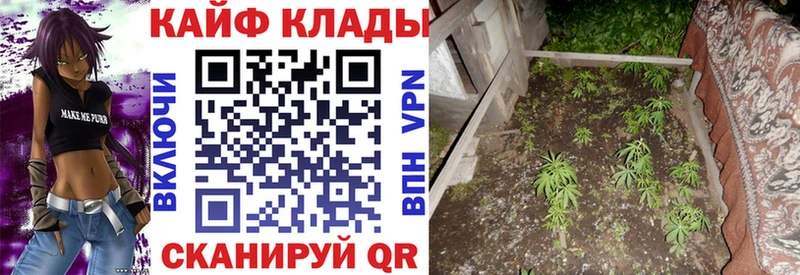 Хочу наркоту Калачинск Cocaine  Амфетамин  Alpha-PVP  Вейп ТГК  ГАШ  Меф  Канабис 