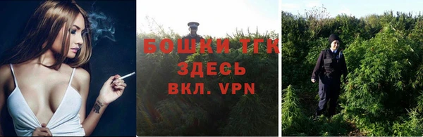 дурь Елизово