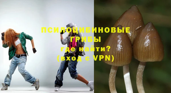 экстази Ельня