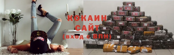 альфа пвп Дмитровск