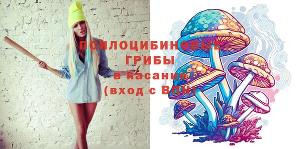 альфа пвп Дмитровск
