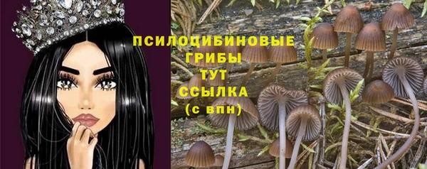 прущие крисы Елабуга