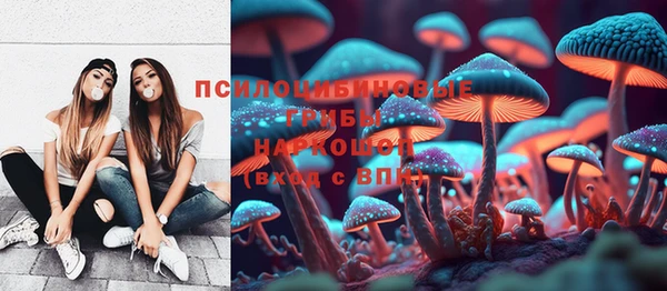 альфа пвп Дмитровск