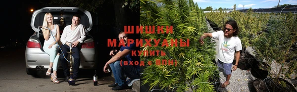 гашишное масло Дмитров