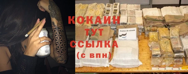 альфа пвп Дмитровск