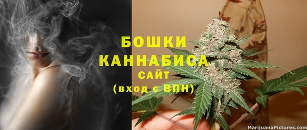 дмт Дмитриев
