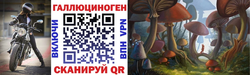 Псилоцибиновые грибы GOLDEN TEACHER  Калачинск 